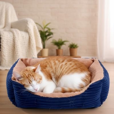 chat panier