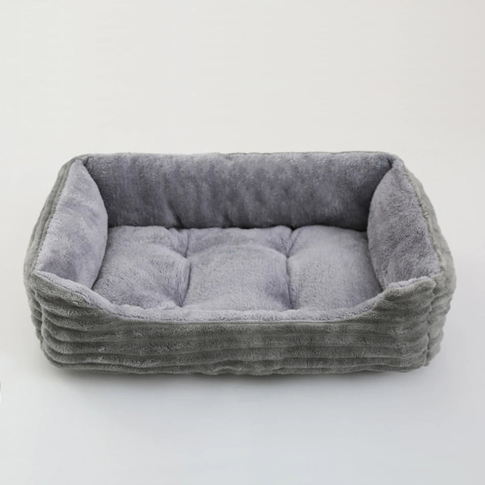 chat panier gris