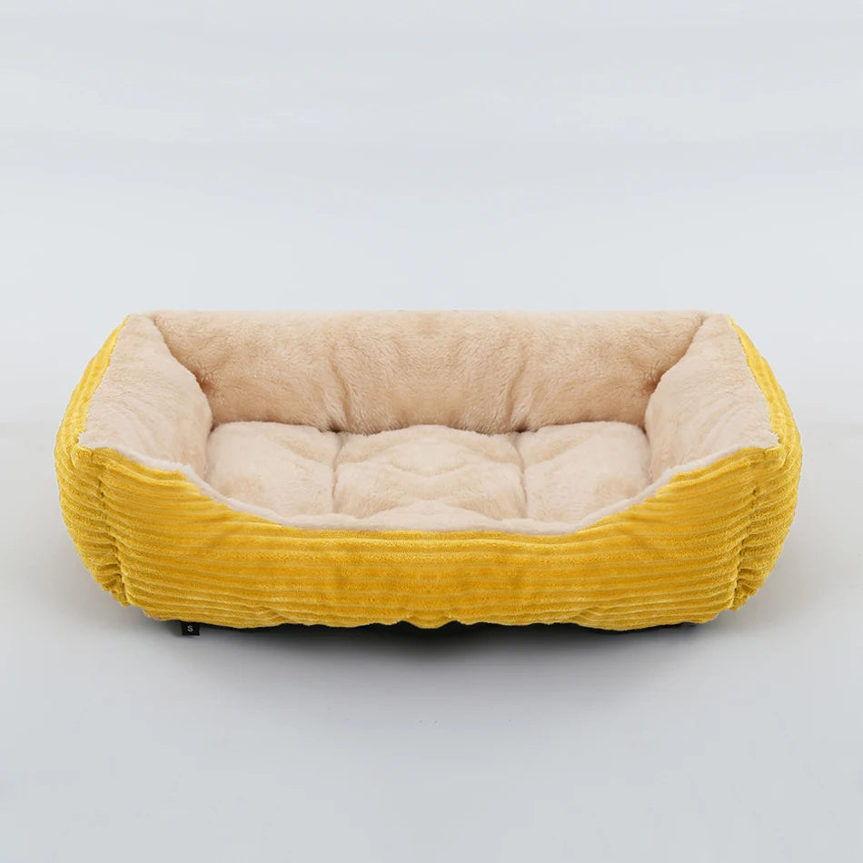chat panier jaune