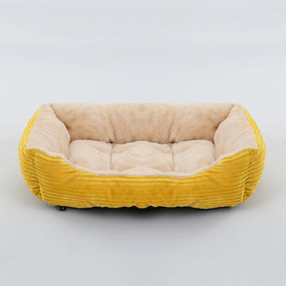 chat panier jaune