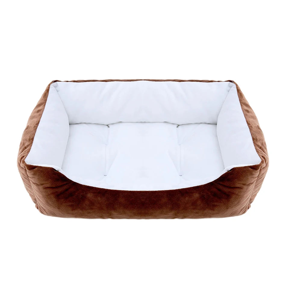 chat panier