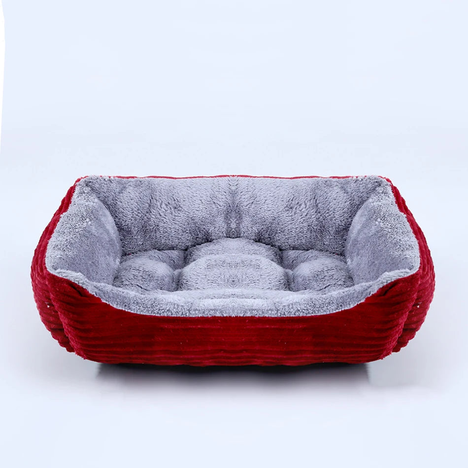 chat panier rouge