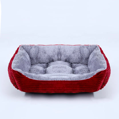chat panier rouge