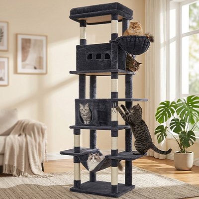 chat qui grimpe dans Arbre à Chat xxl couleur gris
