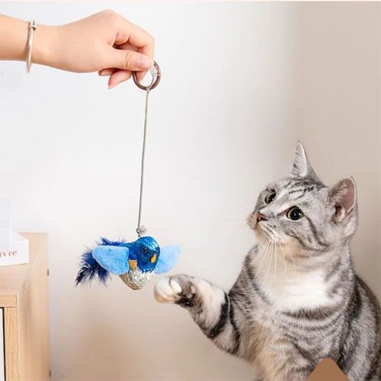 chat qui joue dans Jouet interactif chat