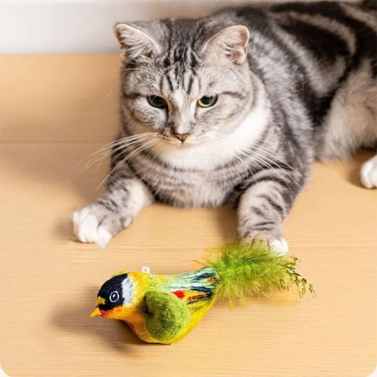 chat qui joue dans Jouet interactif chat