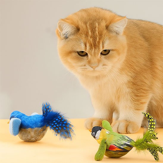 chat qui joue dans Jouet interactif chat