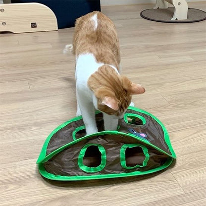 chat qui s'amuse avec jouets pour chat en forme de tapis de jeu avec plusiuers trous
