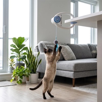 chat qui s'amuse avec son Jouet Chat interactif