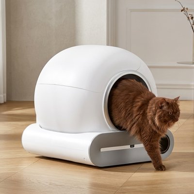 chat sortant de son Bac a litiere