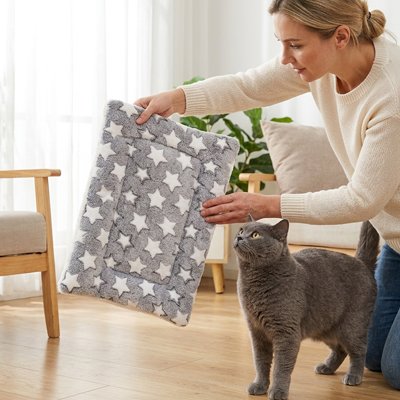 chat appréciant Tapis Chat 
