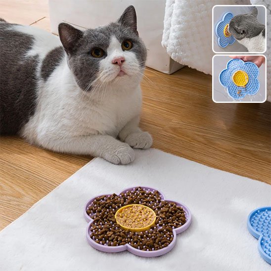 chat assis devant tapis de lechage