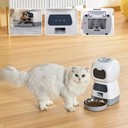 chat  blanc mange dans Distributeur de croquettes pour chat programmable
