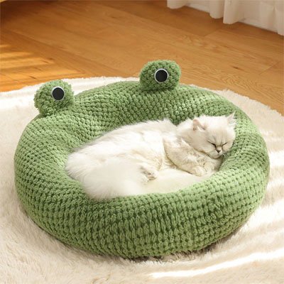 chat couche dans abri pour chat