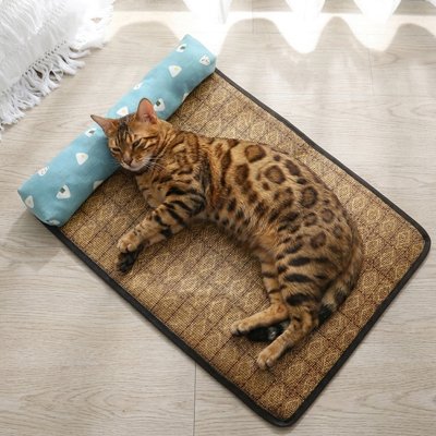 chat détendu dans Tapis rafraichissant Chat