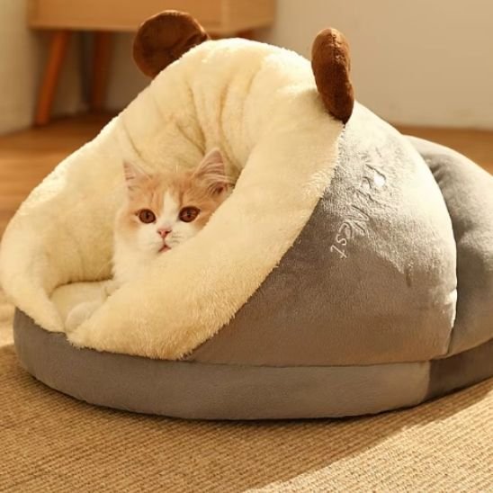 chat dans panier pour chats gris