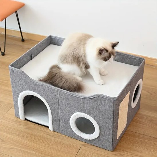 chat debout sur Niche pour chat