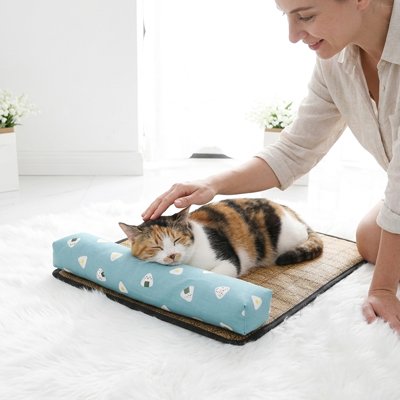 chat dodo dans Tapis rafraichissant Chat
