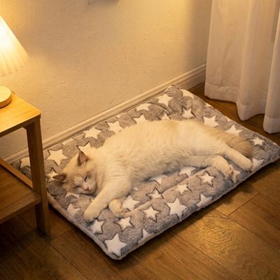 chat dormant sur Tapis Chat 