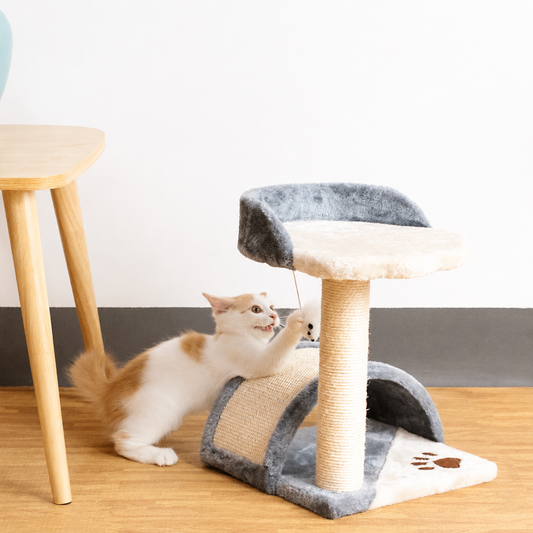 chat_jouant_sur_arbre_a_chat_design