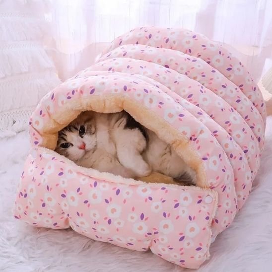 chat joue dans chaton panier rose