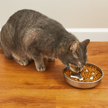 chat mange Gamelle anti glouton chaton