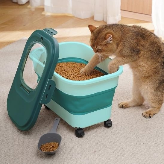 chat mange dans boite à croquettes pour chat
