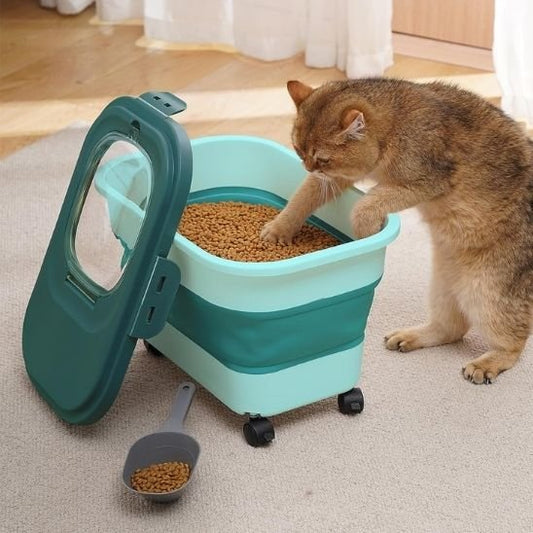 chat mange dans boite à croquettes pour chat