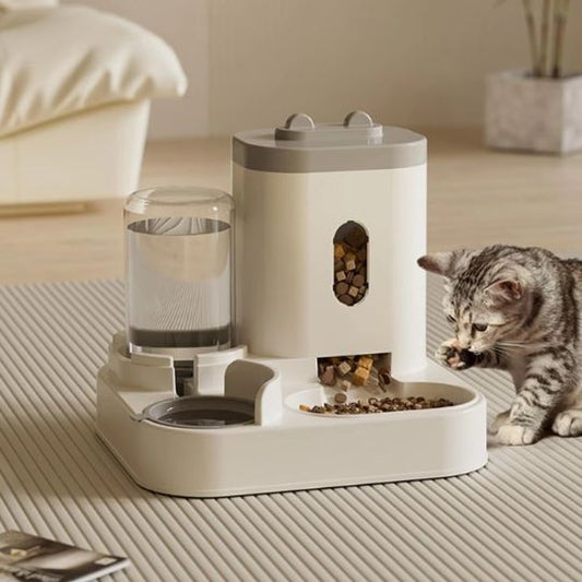 chat mange dans distributeur croquette chat automatique