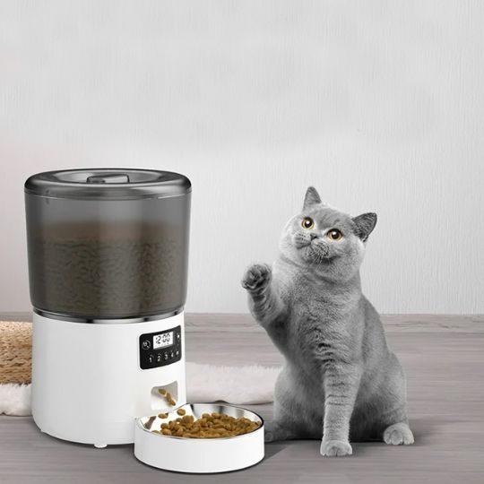 Distributeur Automatique Croquettes  Chat | FélinConfort™ MITSOU SHOP