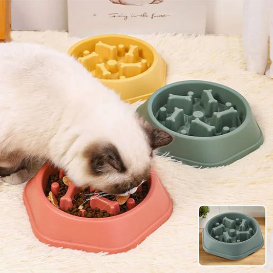 chat blanc mange dans gamelle anti glouton chat