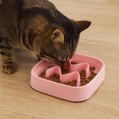 chat mange dans Gamelle anti glouton Chat rose