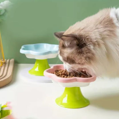 chat mange dans gamelle chat