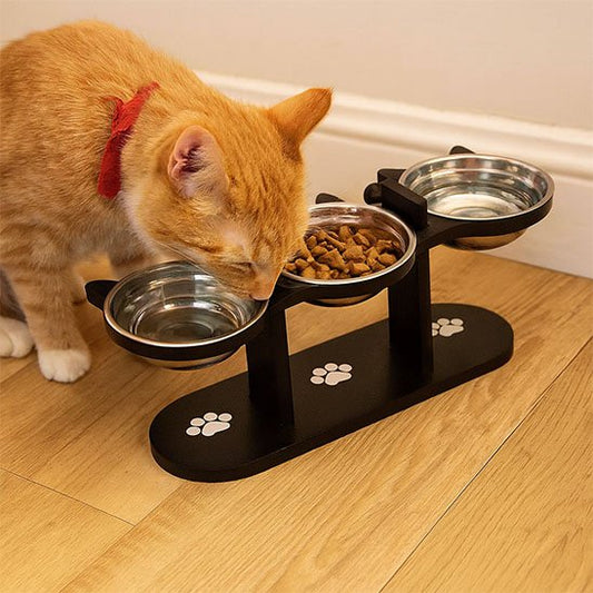 chat mange dans gamelle chat surelevee