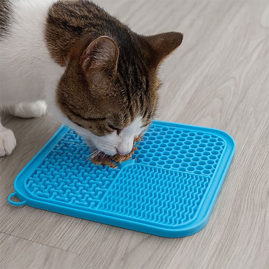 chat mange dans Tapis de lechage