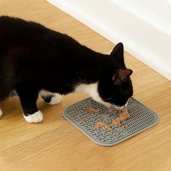 chat mange dans Tapis de lechage gris