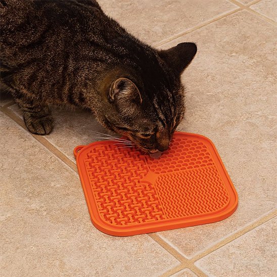 chat mange dans Tapis de lechage orange