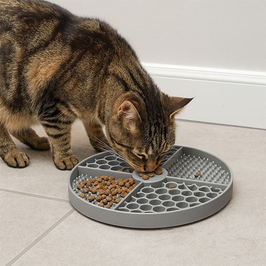 chat mange dans tapis de lechage