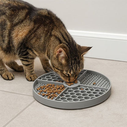 chat mange dans tapis de lechage