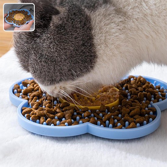 chat mange dans tapis de lechage bleu ciel