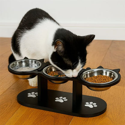 chat noir mange dans gamelle chat surelevee