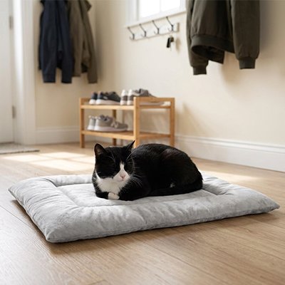 chat noir sur Tapis Chat 