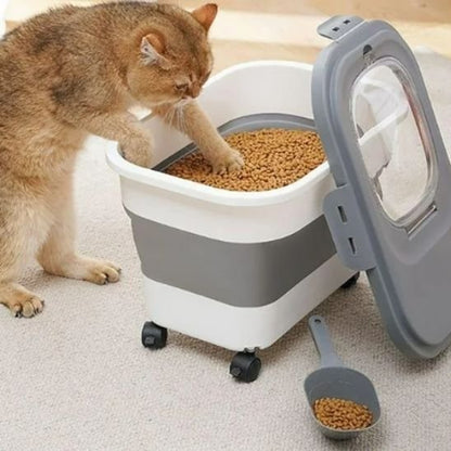 chat pres de boite à croquettes pour chat blanc gris