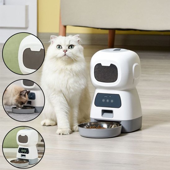 chat pres du Distributeur de croquettes pour chat programmable