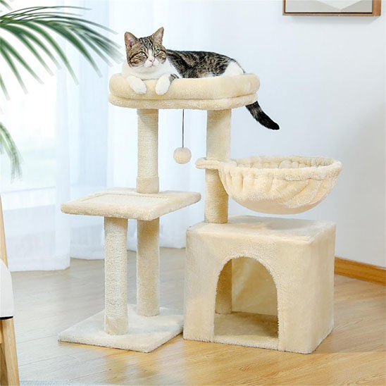 chat sur le Petit arbre a chat​ belge