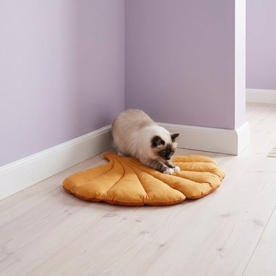 chat sur Tapis Chat jaune
