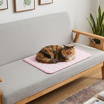 chat sur Tapis rafraichissant Chat 