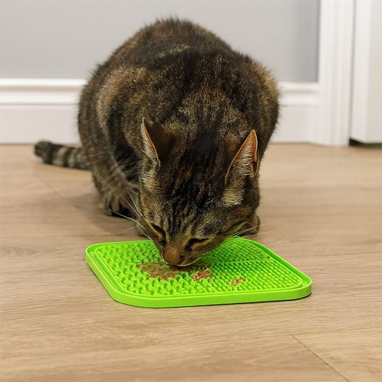 chat Tapis de lechage