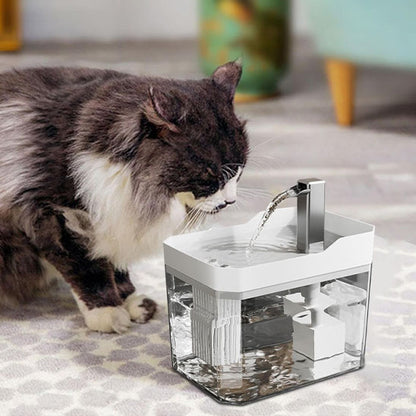 chat noir blanc buvant eau fontaine a eau chat blanche