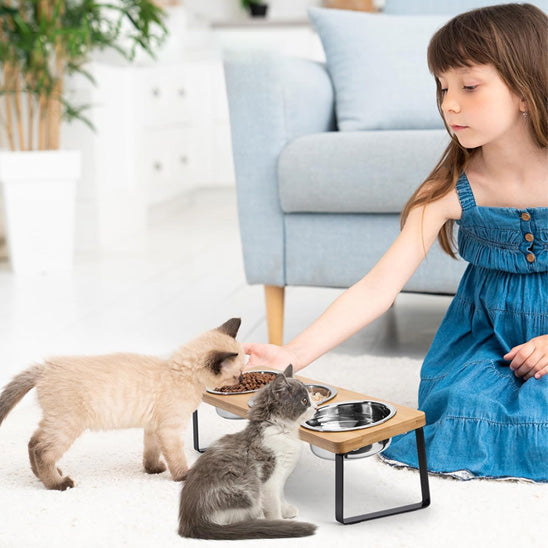 chatons mange dans gamelle chat surelevee